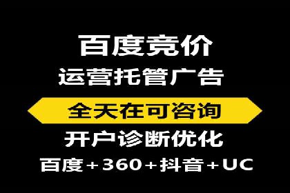 竞价广告赚钱秘籍：百度实战案例